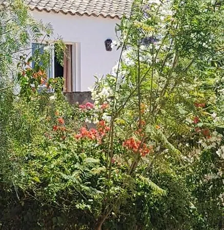 Casa El Soto Holiday home Vejer de la Frontera